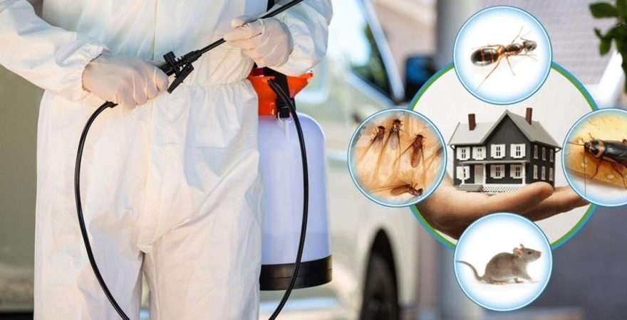 Yağcılar Böcek İlaçlama