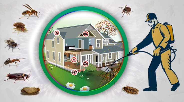 Yağcılar Böcek İlaçlama