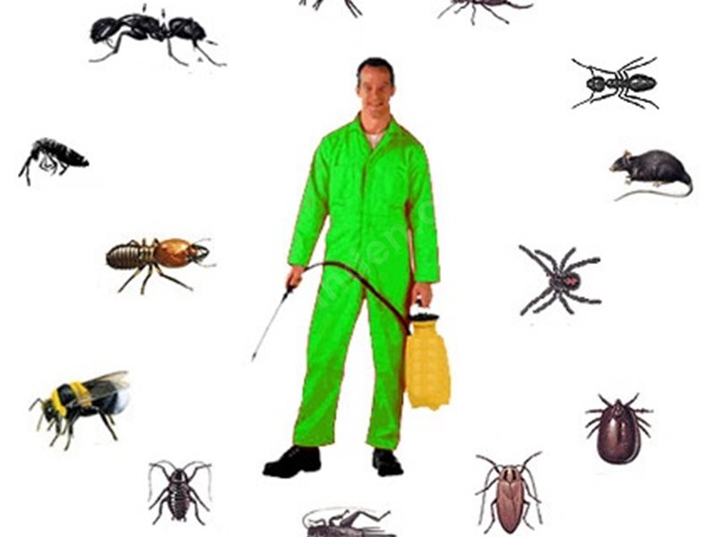 Yağcılar Böcek İlaçlama